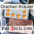 Drachen Kräuter new13